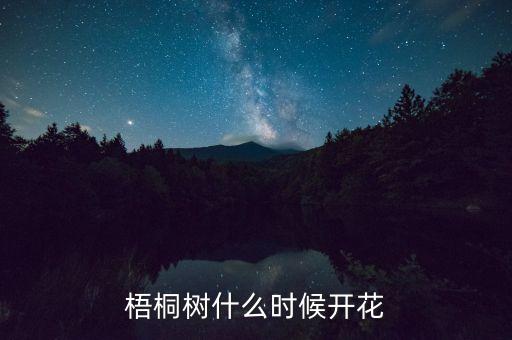 梧桐开花，梧桐树开花吗
