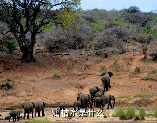 油枯，油枯水是什么