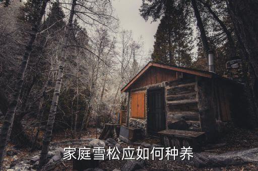 雪松种植，雪松怎样栽培管理