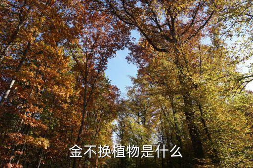 金不换植物是什么