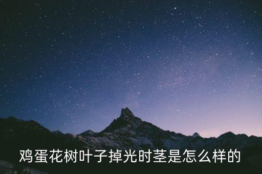 鸡蛋花树图片，鸡蛋花树叶子掉光时茎是怎么样的