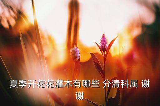 黄瑞木，黑色圆形野果味道非常苦表面有一点毛请问这是什么