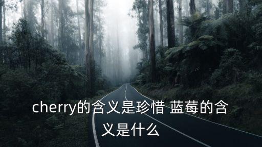 蓝莓的寓意，蓝莓的含义是什么