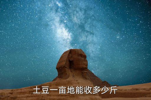土豆一亩地能收多少斤