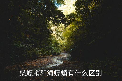 桑螵蛸和海螵蛸有什么区别