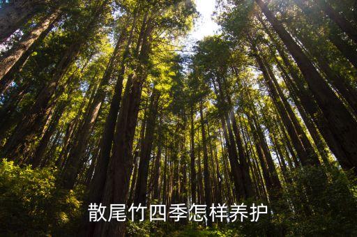 散尾葵怎么养，散尾葵好养吗