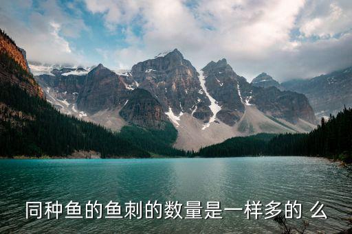 松花鱼刺多吗，同种鱼的鱼刺的数量是一样多的 么