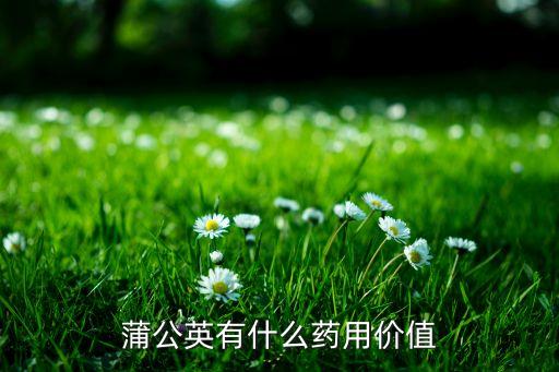 蒲公英有什么药用价值