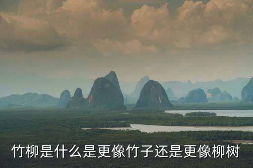 竹柳是什么是更像竹子还是更像柳树