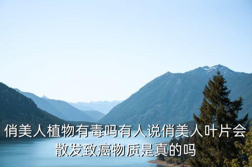 俏美人，俏美人化妆品怎么样