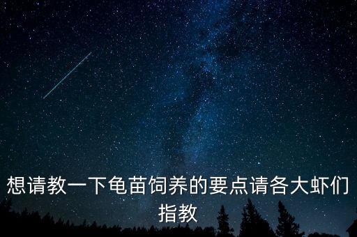 想请教一下龟苗饲养的要点请各大虾们指教