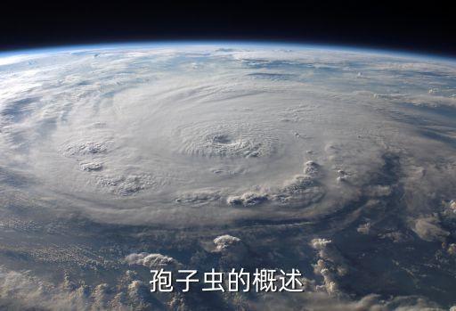 孢子虫的概述