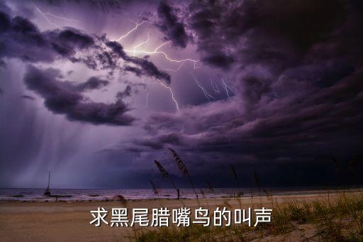 蜡嘴鸟的叫声，蜡嘴鸟母的会叫吗