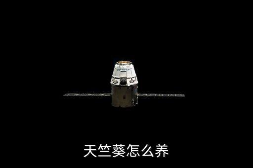 天竺葵怎么养，天竺葵怎么种植 天竺葵的种植方法和注意事项