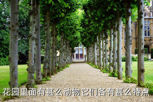 花园里面有什么，春天花园里有什么花
