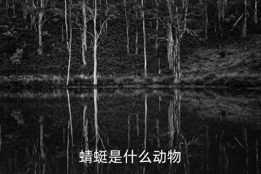 蜻蜓简介，蜻蜓是什么动物