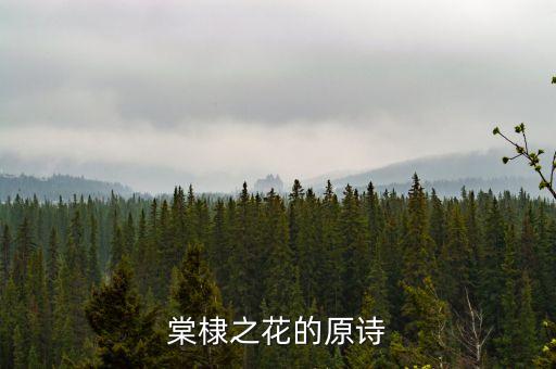 棠棣之花，棠棣之花的介绍