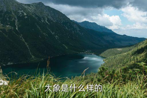 大象长什么样，大象是什么样的