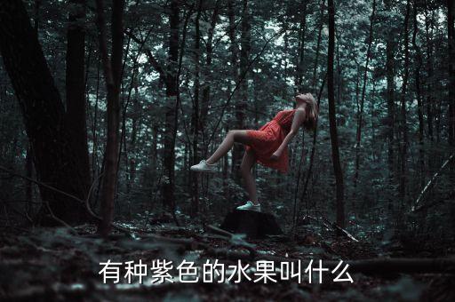 有种紫色的水果叫什么