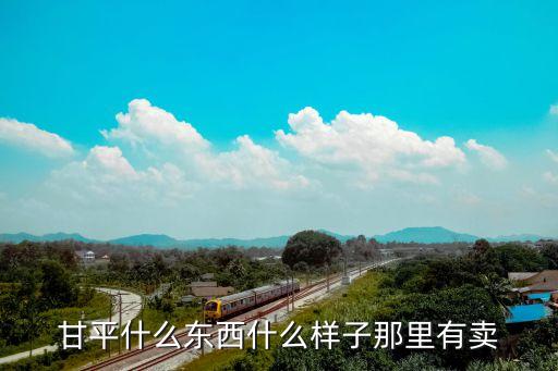 甘平，甘平什么东西什么样子那里有卖