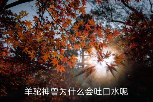 羊驼吐口水，羊驼为啥会吐口水