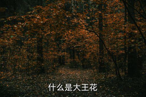 大王花的资料，大王花的外形特征