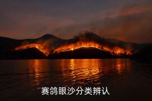 眼砂，赛鸽眼沙分类辨认