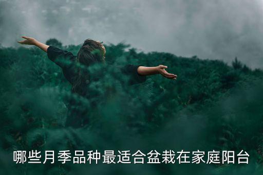 海神王阳台月季，阳台养哪种月季比较好