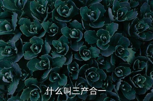 什么叫三产合一