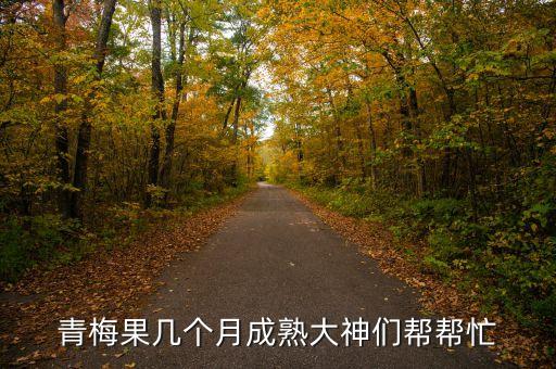 青梅什么时候成熟，青梅果几个月成熟大神们帮帮忙