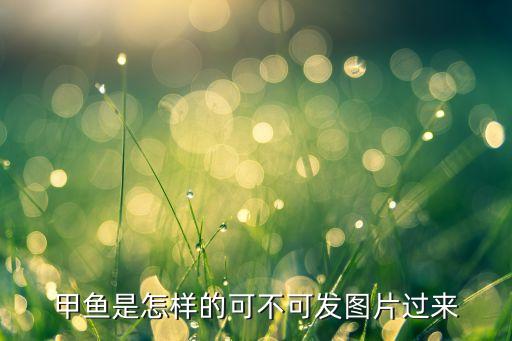 团鱼图片，甲鱼是怎样的可不可发图片过来