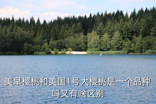美早樱桃和美国1号大樱桃是一个品种吗又有啥区别