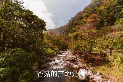 香菇的产地是哪