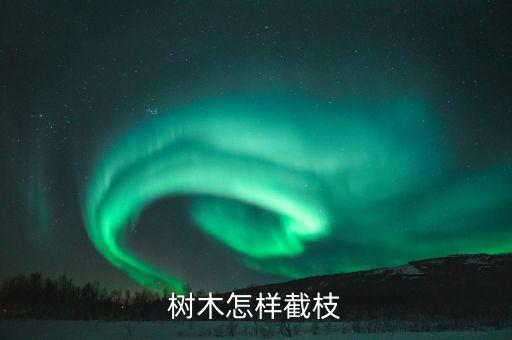 树木怎样截枝