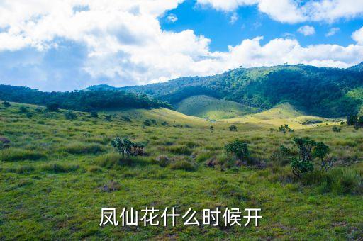 凤仙花花期，凤仙花什么时候开具体月份