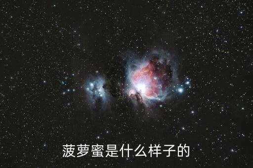 菠萝蜜长什么样，菠萝蜜是什么