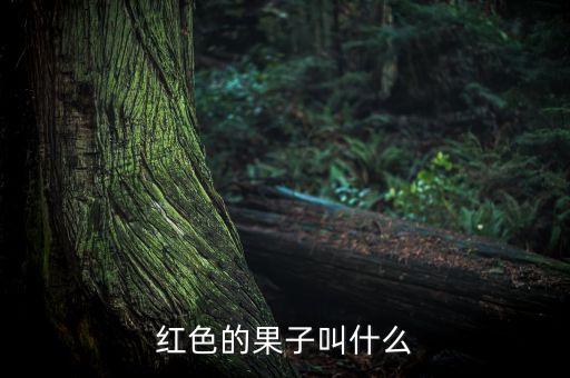 红色的果子叫什么