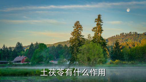 土茯苓有什么作用