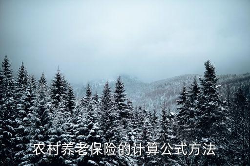 农村养老保险的计算公式方法