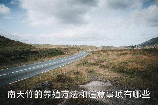 南天竹的养殖方法和注意事项有哪些