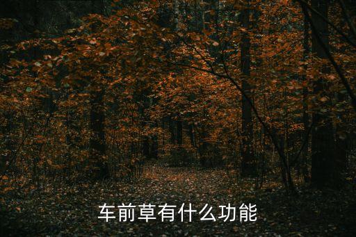 车前草有什么作用，车前草的作用