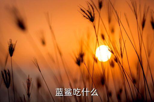 蓝鲨吃什么