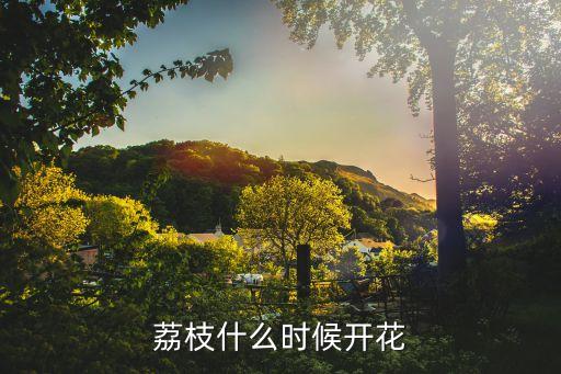 荔枝花图片，荔枝什么时候开花
