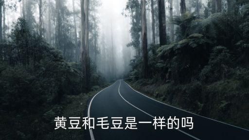 黄豆和毛豆是一样的吗