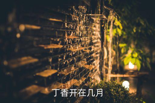 丁香花几月开，丁香的花期