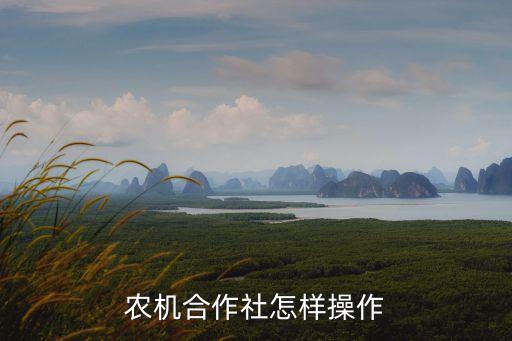 农机合作社怎样操作