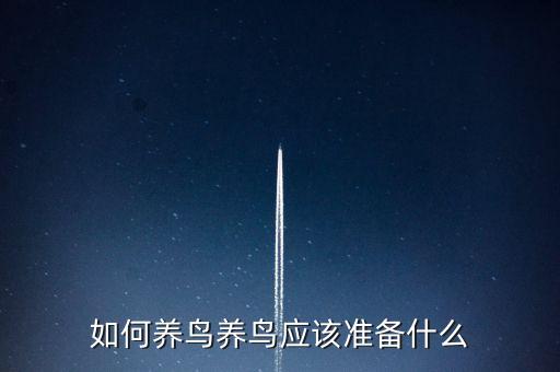 如何养鸟养鸟应该准备什么