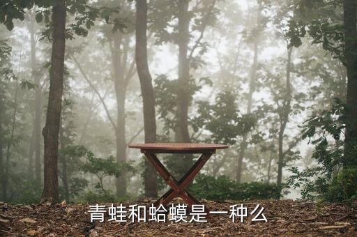 青蛙和蟾蜍，青蛙和蟾蜍怎样区分