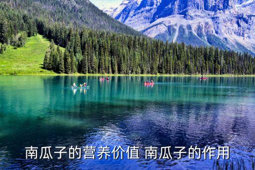 南瓜子的营养价值 南瓜子的作用