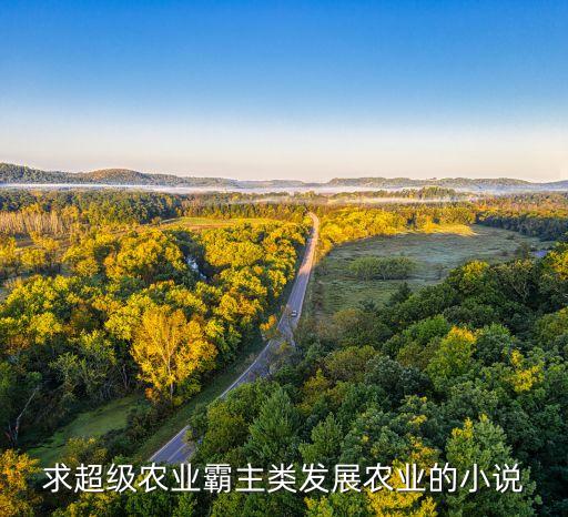 求超级农业霸主类发展农业的小说